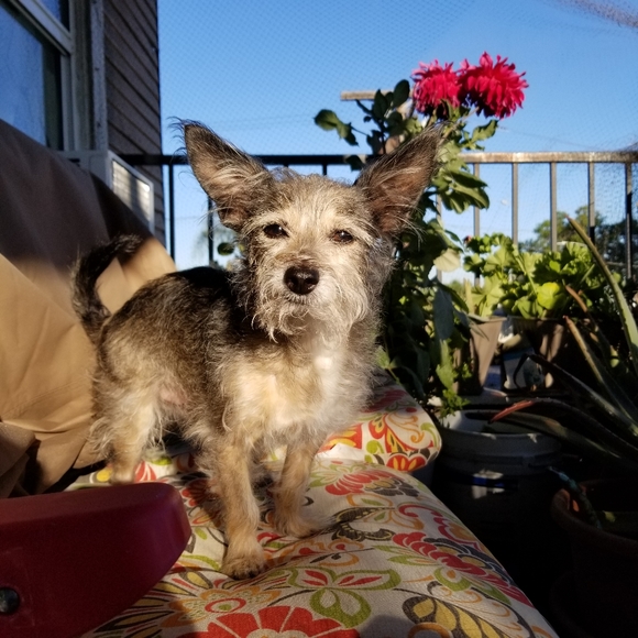 Meet your Posher - Picture 3 of 4